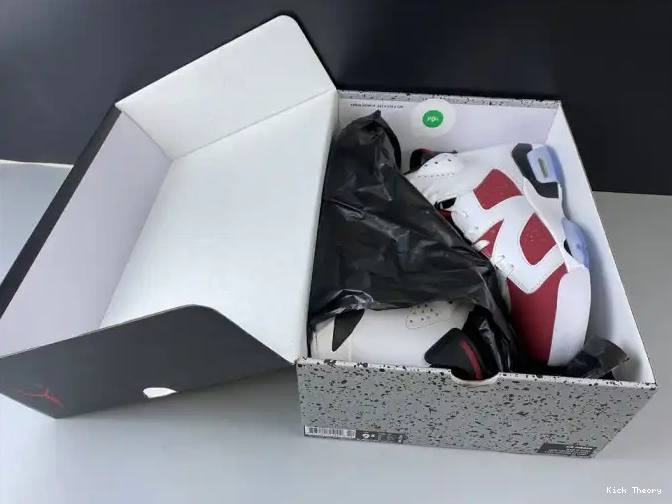 Kick Theory JORDAN RETRO 384664-160 AIR 6 'CARMINE' 2014 0618
